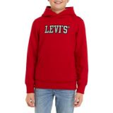 Boys 8-20 Sherpa Lined Pullover Hoodie