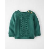 Carters Organic Cotton Cable Knit Sweater