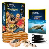 Disney Ocean Animal Dig Kits ? National Geographic