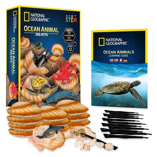 디즈니 Disney Ocean Animal Dig Kits ? National Geographic