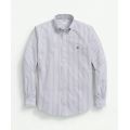 Big & Tall Stretch Cotton Non-Iron Oxford Polo Button-Down Collar, Outline Striped Shirt