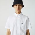 Lacoste Menu2019s Regular Fit Cotton Shirt