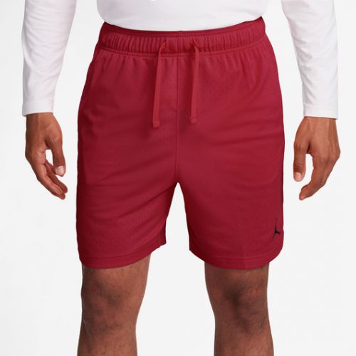 조던 Jordan Dri-Fit Sport Mesh Shorts