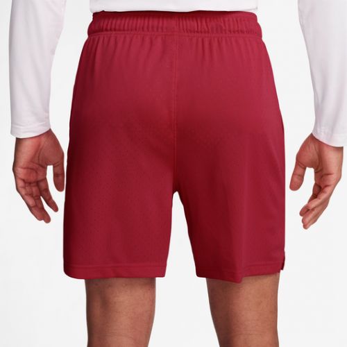 조던 Jordan Dri-Fit Sport Mesh Shorts