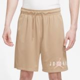 Jordan Essential Mesh GFX Shorts