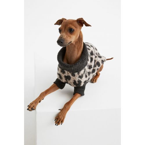 에이치앤엠 H&M Jacquard-knit Dog Sweater