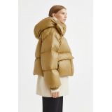H&M Hooded Down Jacket