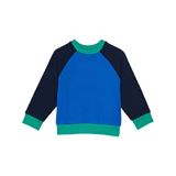 Color-Block Crew Neck Sweatshirt (Toddler/Little Kids/Big Kids)