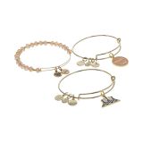 Alex and Ani Harry Potter, Ron Character Set of 3