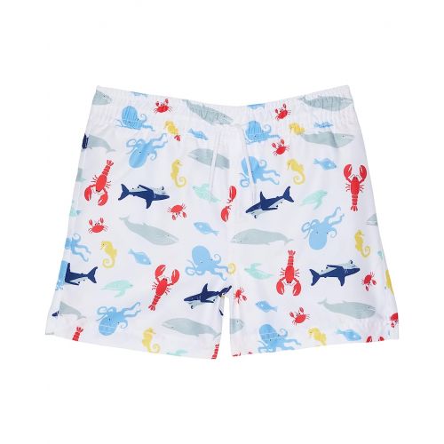 쟈니앤잭 Janie and Jack Printed Swim Shorts (Toddleru002FLittle Kidsu002FBig Kids)