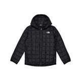 ThermoBall Hooded Jacket (Toddler)