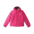 The North Face Kids Reversible North Down Hooded Jacket (Little Kids/Big Kids)