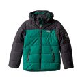 LEGO Jacket with Detachable Hood and Polyester Insulation (Toddler/Little Kids/Big Kids)