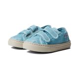 Cienta Kids Shoes 83777 (Toddleru002FLittle Kidu002FBig Kid)