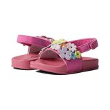 Rachel Shoes Lil Maui (Toddler)