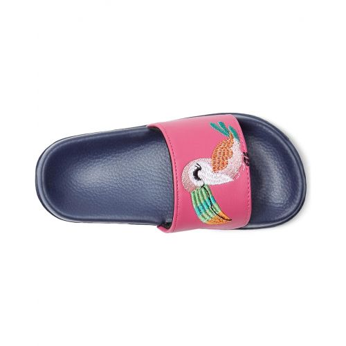 해틀리 Hatley Kids Tropical Birds Slide On Sandals (Toddleru002FLittle Kidu002FBig Kid)