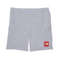 The North Face Kids Never Stop Training Shorts (Little Kids/Big Kids)
