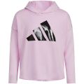 adidas Kids Long Sleeve Graphic Chi Hooded Tee (Toddler/Little Kids)