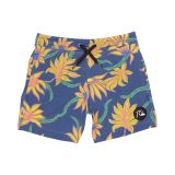 Quiksilver Kids Washed Session Stretch Volley 14 Boardshorts (Big Kids)