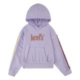 Levis Kids Graphic Pullover Hoodie (Little Kids)