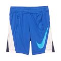 Nike Kids Dri-FIT Swoosh Color-Block Pull-On Shorts (Little Kids)