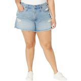 Madewell Plus Relaxed Denim Shorts in Renfield Wash: Destructed Edition