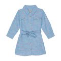 Hatley Kids Chambray Hearts Button-Down Dress (Toddleru002FLittle Kidsu002FBig Kids)