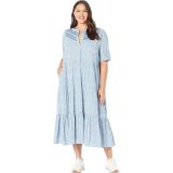 Madewell Plus Embroidered Midi Dress in Cottage Carden