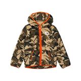 The North Face Kids Campshire Hoodie (Toddler)