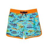 Hatley Kids Ocean Life Swim Shorts (Toddleru002FLittle Kidsu002FBig Kids)