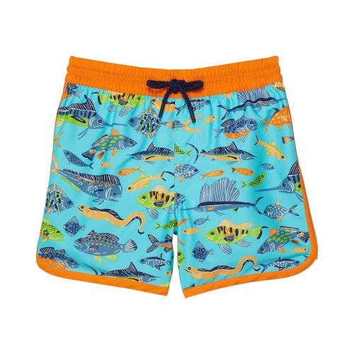 해틀리 Hatley Kids Ocean Life Swim Shorts (Toddleru002FLittle Kidsu002FBig Kids)