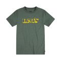 Levis Kids Short Sleeve Graphic Tee Shirt (Little Kids)