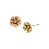 COACH Tea Rose Flower Stud Earrings_GOLDEN SHADOW/ GOLD
