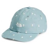 THE NORTH FACE Washed Norm Hat_TOURMALINE BLUE