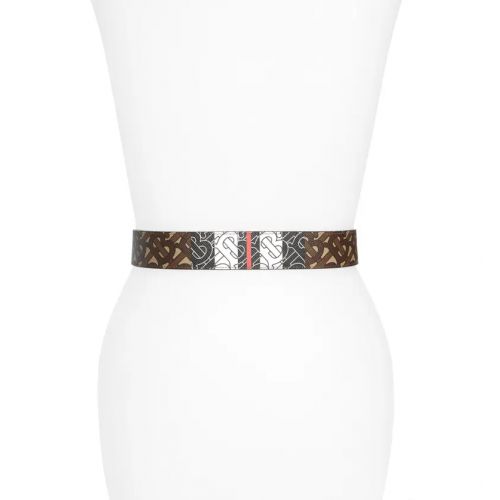 버버리 Burberry Monogram Stripe E-Canvas & Leather Belt_BRIDLE BROWN
