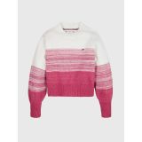 TOMMY HILFIGER Kids Color Fade Sweater