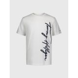 TOMMY HILFIGER Little Boys Signature T-Shirt