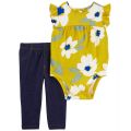 Baby Girls Floral Bodysuit and Pants 2 Piece Set