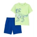 Baby Boys Dinosaur T-shirt and Shorts 2 Piece Set
