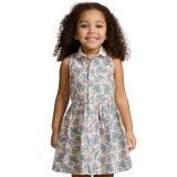 Toddler and Little Girls Floral Cotton Oxford Shirtdress