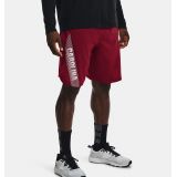 Underarmour Mens UA Woven Collegiate Sideline Shorts