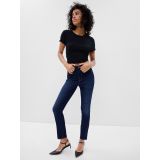 High Rise Favorite Jeggings with Washwell